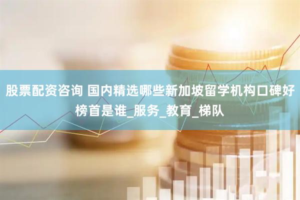 股票配资咨询 国内精选哪些新加坡留学机构口碑好榜首是谁_服务_教育_梯队