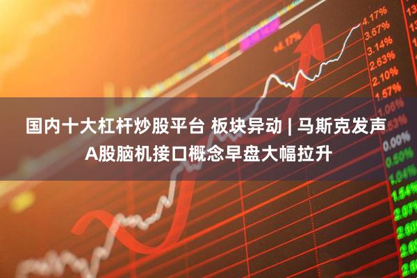 国内十大杠杆炒股平台 板块异动 | 马斯克发声 A股脑机接口概念早盘大幅拉升